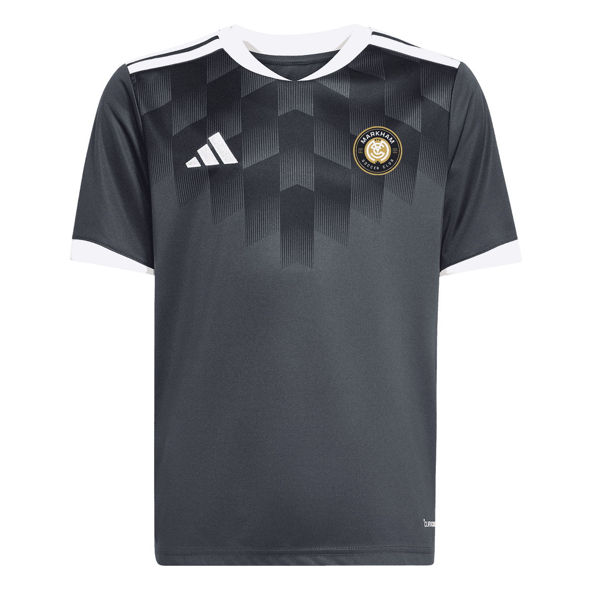 Team Icon27 Jersey
